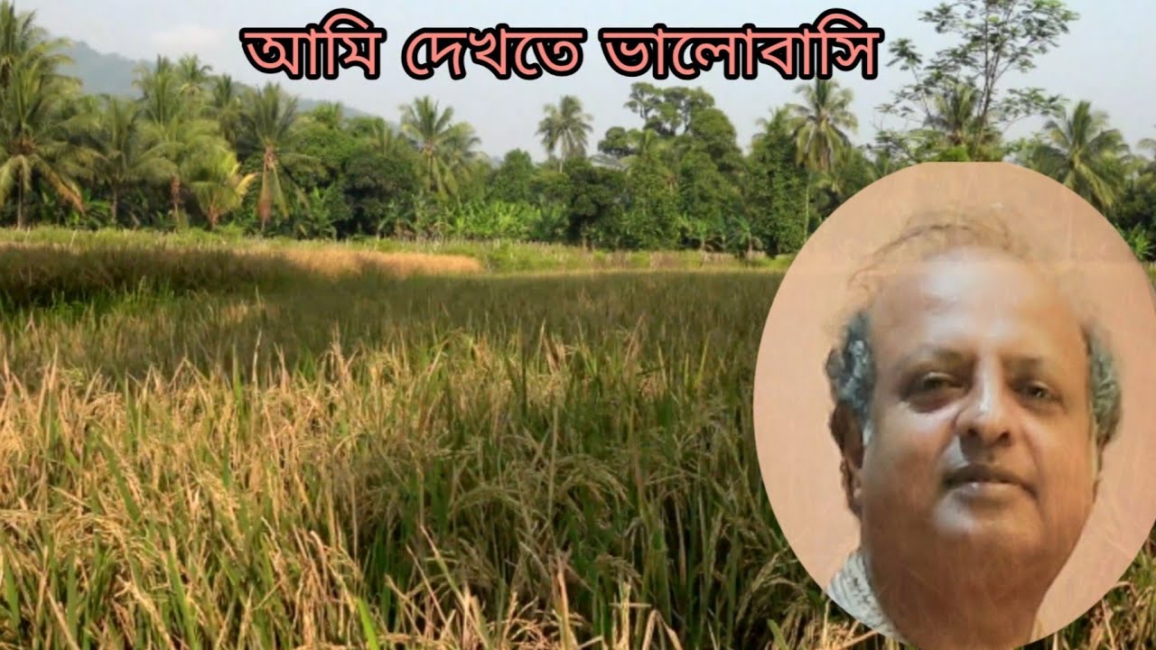 Ami Dekhte Bhalobashi - Arnab Basu